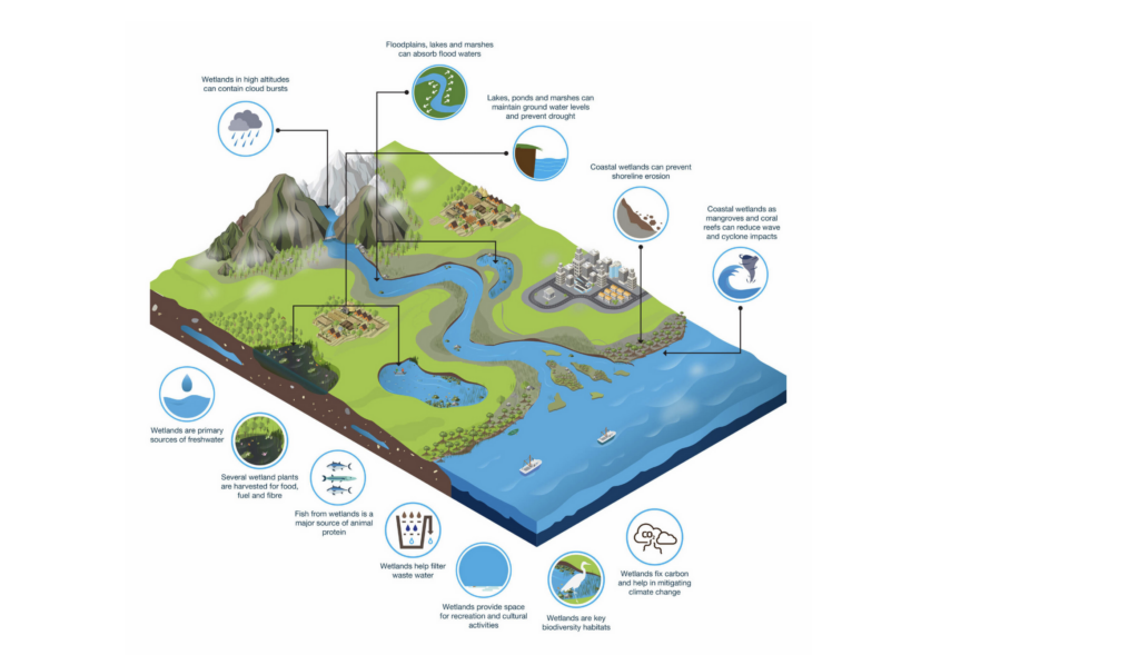 stijging van de waterspiegel in Nederland